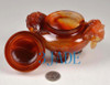 Carnelian / Red Agate Chinese Lion Foo Dog Censer / Incense Carving Sculpture / Statue -M003008
