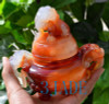 Carnelian / Red Agate Chinese Lion Foo Dog Censer / Incense Carving Sculpture / Statue -M003009