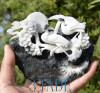  stone bird carving