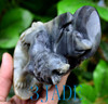 Natural Gray Seed Jade Wolf / Coyote Howling at Moon Statue Detailed Carved  w/ certificate