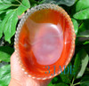 carnelian gemstone plate