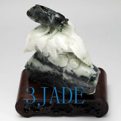 Natural Dushan Jade / Stone Carving: Cicada Statue / Sculpture