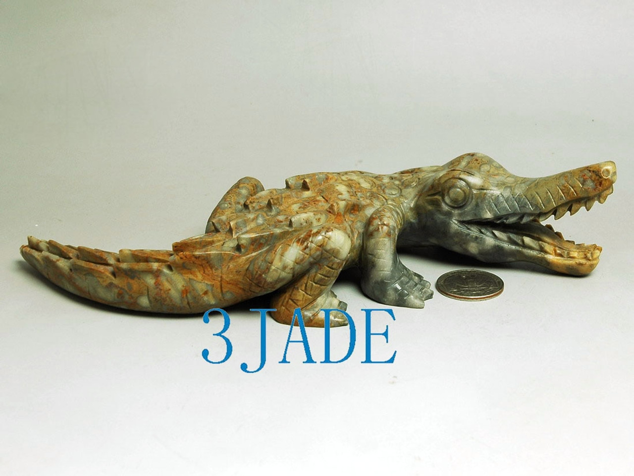 jasper crocodile