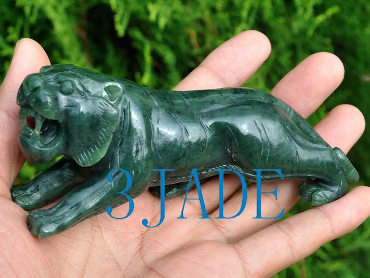 jade Tiger