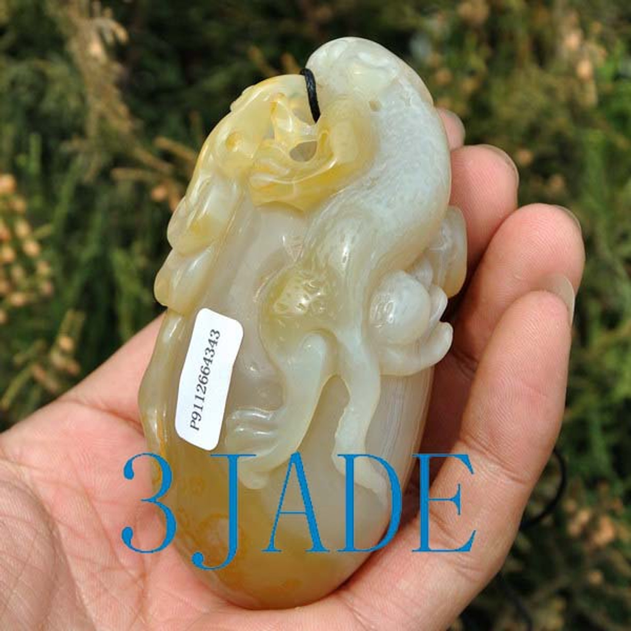 89mm Hand Carved Natural Chalcedony / Agate Lizard Paperweight / Amulet -J028104