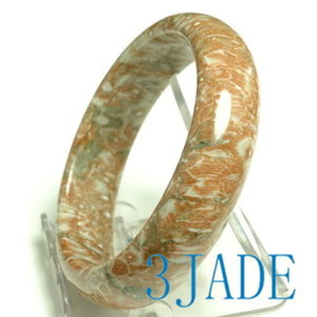 59mm Natural Coral Fossil Bangle Bracelet