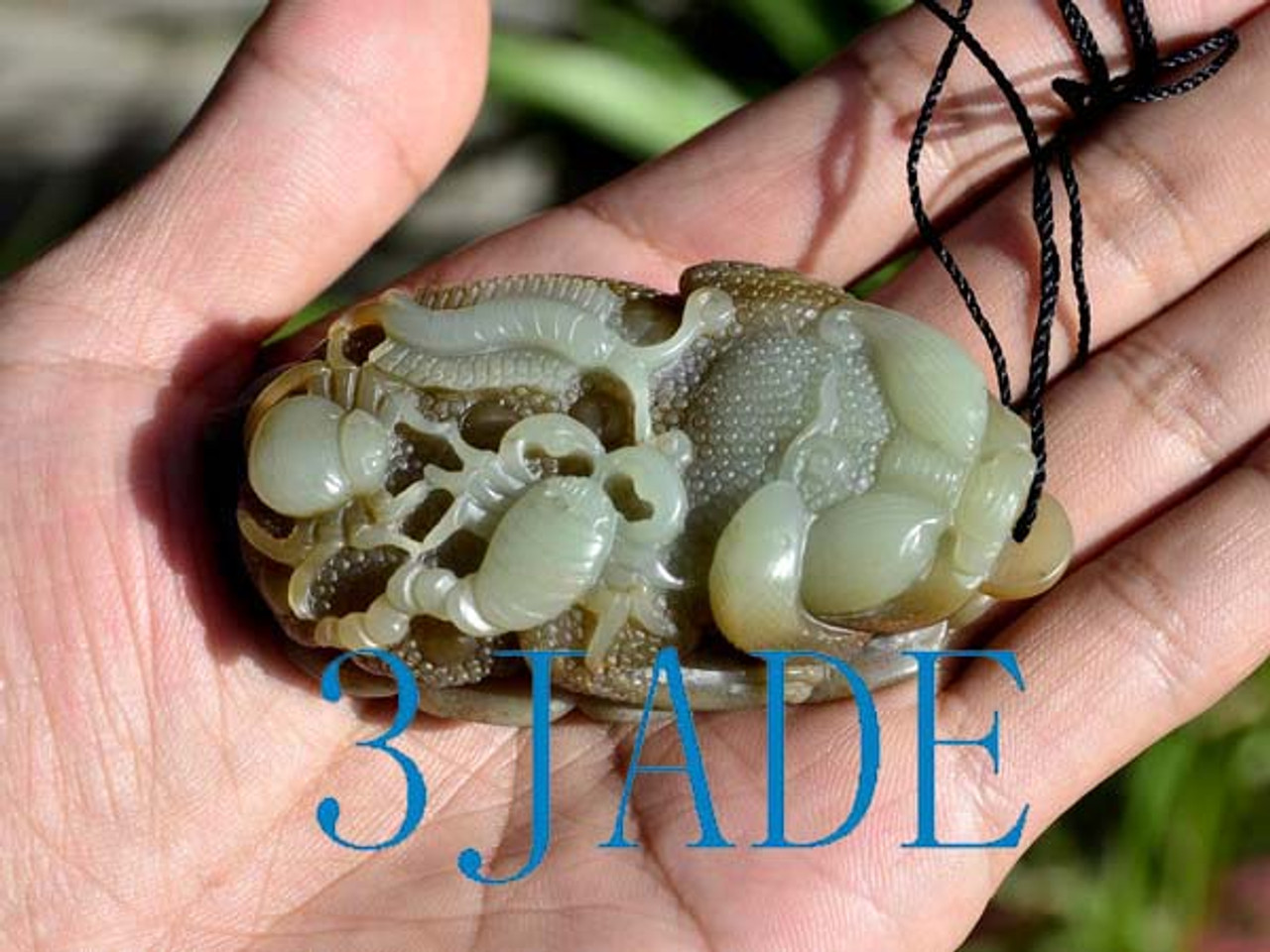 Jade Five Poisonous Creatures