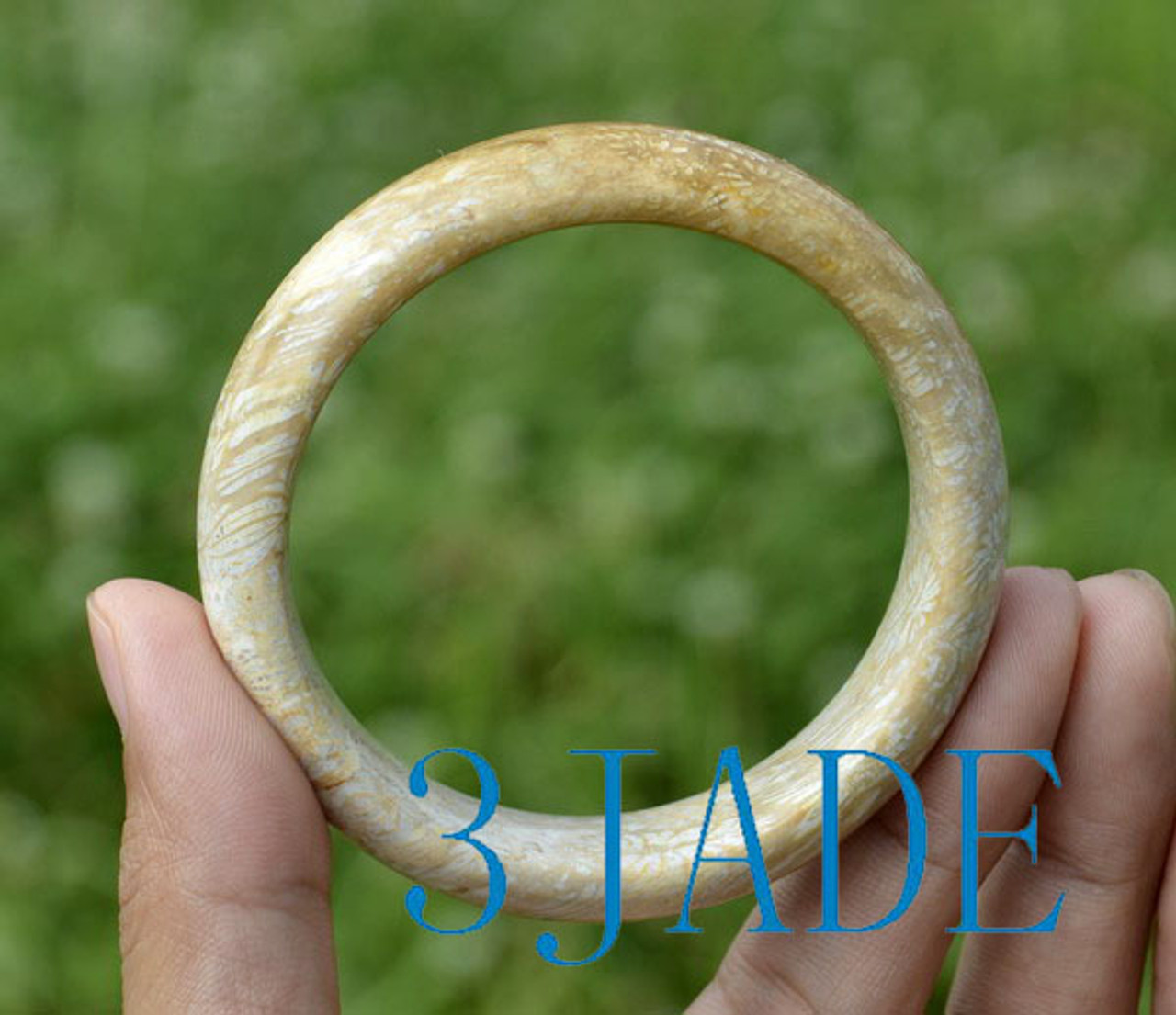 57mm Natural Fossil Coral Gemstone Bangle Fossilized Coral Bracelet