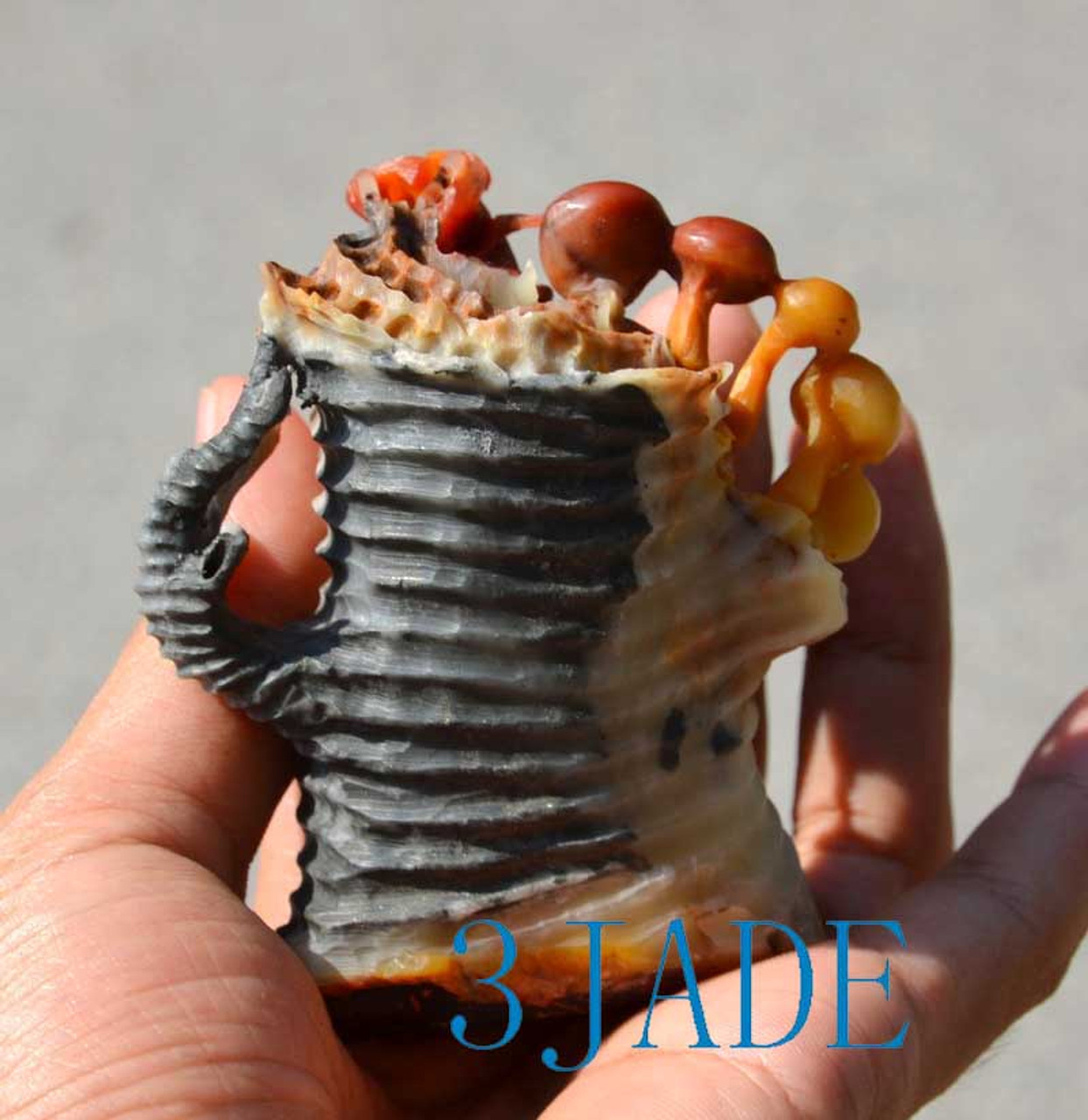 Natural ShouShan Stone Cicada on Rotten Wood Statue Agalmatolite Carving