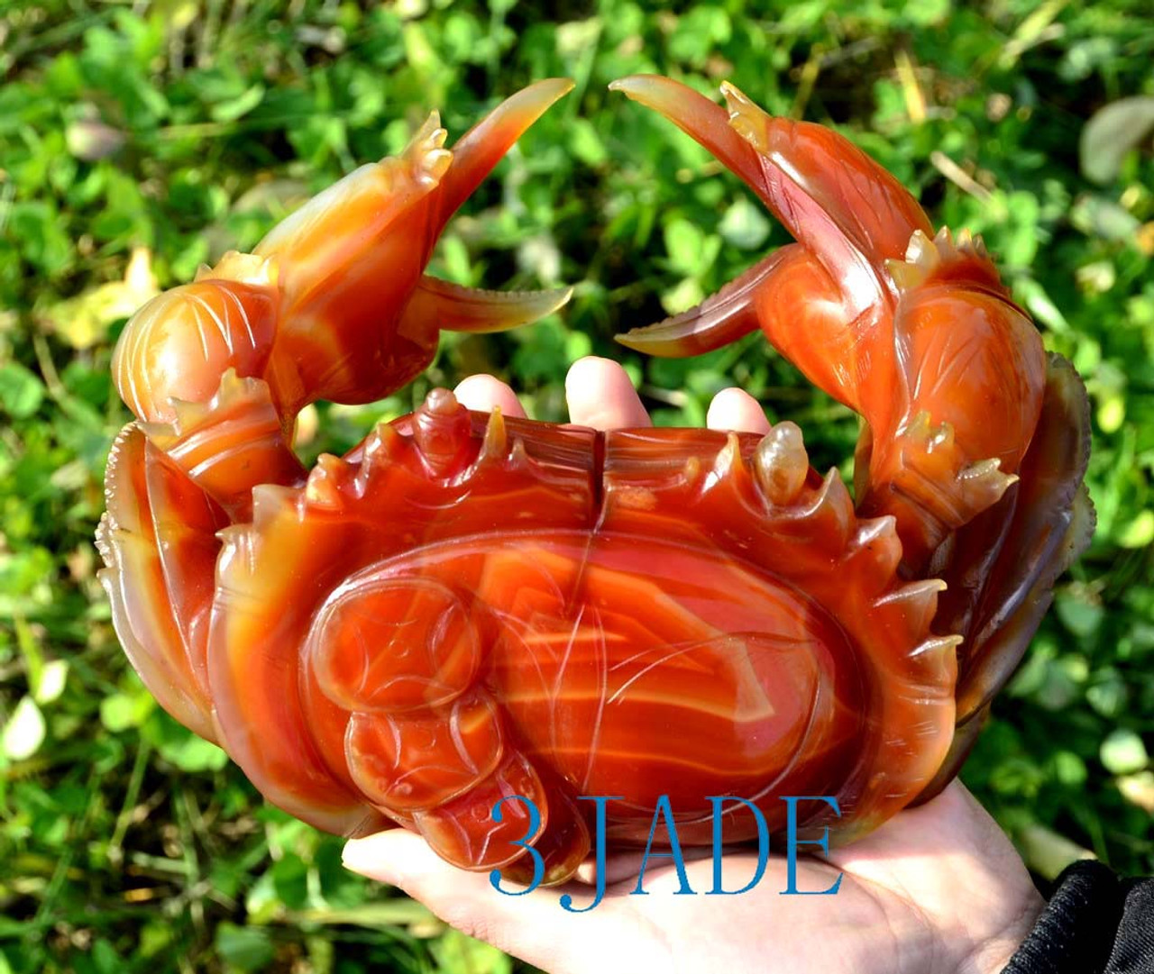 8" Red Agate / Carnelian Crab Statue Sculpture / Carving