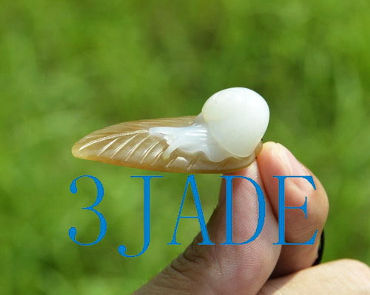 white jade snail