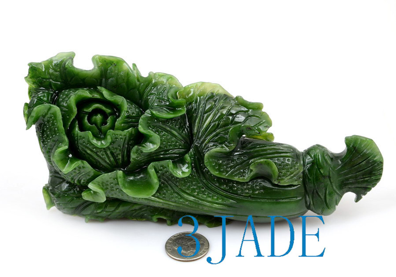 Green Jade Cabbage