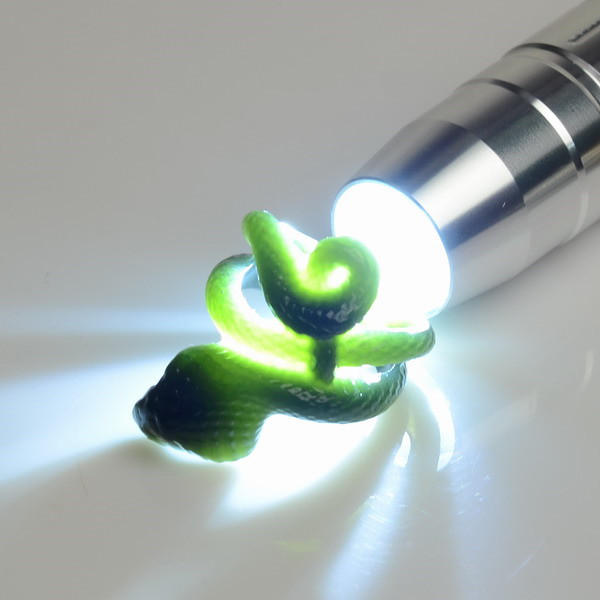 Nephrite jade cobra ring showing translucency under strong light