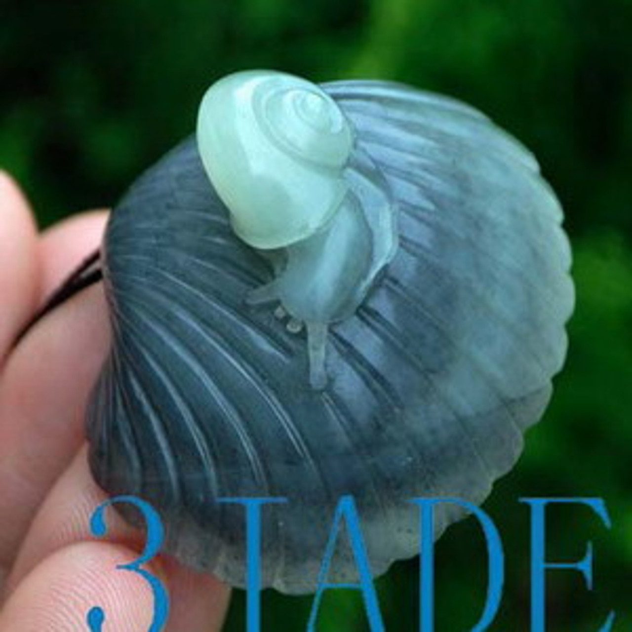 Natural Hetian Nephrite Jade Hand Carved Shell & Snail Pendant w/ certificate