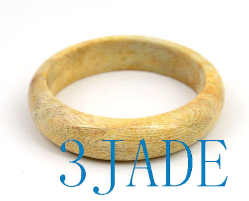 Coral Fossil Bangle