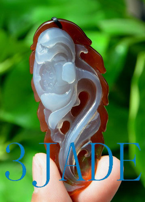 carnelian flower