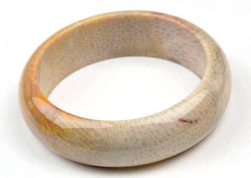 fossil coral bangle