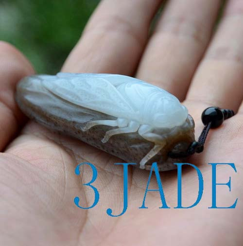 jade cicada