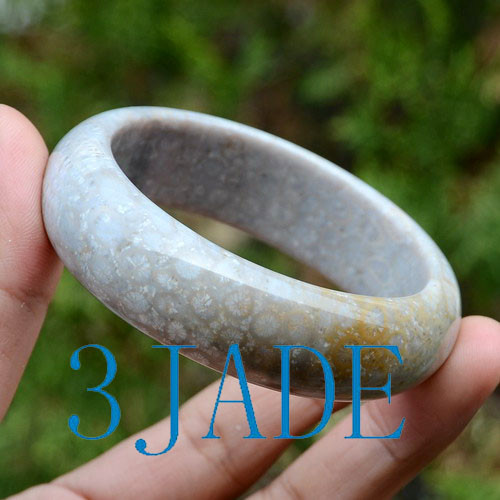 Coral Fossil Bangle