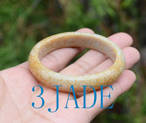 52.5mm coral fossil bangle