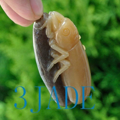 Natural Hetian Nephrite Jade Beetle Pendant /Hand Carved Insect, w ...