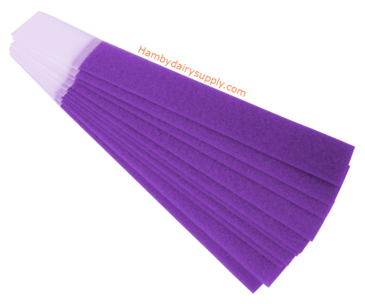 Purple Leg Bands - Velcro Style - Hamby Dairy Supply