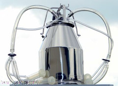 2 Goat Interpuls Bucket Milker 