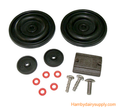 Basic Rebuild Kit for 60/40 ratio Interpuls L80