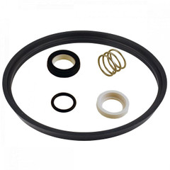 Teflon Seal Kit for SP51 Milk Transfer Pump Teflon Seal Kit for SP51 Milk Transfer Pump