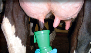 4501 Improved Hamby 1 or 2 Cow Bucket Milker complete basic system