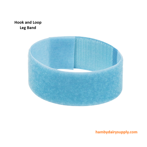 Blue Leg Bands by Coburn - bag of 10  -  Velcro Style
