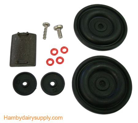 Rebuild Kit for 60/40 Interpuls L02