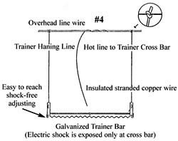Flexible electric Cow Trainer with points -(pack of 5) - Hamby Dairy Supply