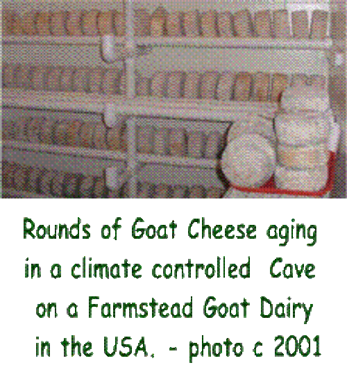 Planning Service Planning Service