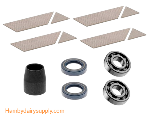 Rebuild Kit for GEA RPS 400 Vacuum pump