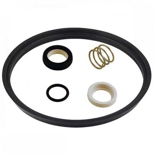 Teflon Seal Kit for SP51 Milk Transfer Pump Teflon Seal Kit for SP51 Milk Transfer Pump