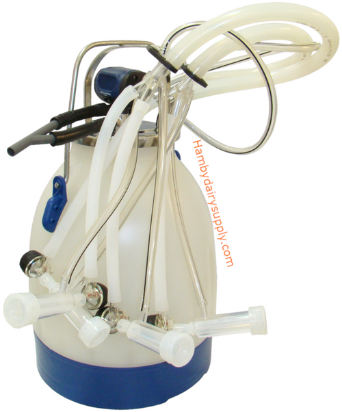 1566pl
2 Mini Goat Nigerian ITP205 Bucket Milker with 7 gallon Poly bucket 1566pl
2 Mini Goat Nigerian ITP205 Bucket Milker with 7 gallon Poly bucket