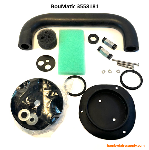 Service Kit 19 piece for Companion Detacher - OEM