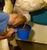 Clear Top Improved Cow Bucket Milker complete basic system FOB