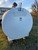 Sold!  Used Surge 500 gallon Milk Tank for storage or transport Sold!  Used Surge 500 gallon Milk Tank for storage or transport
