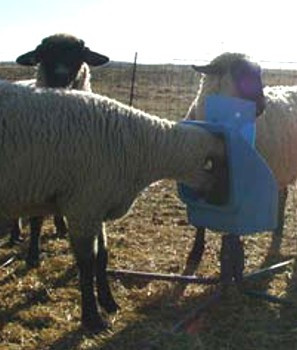 Small Rotating Mineral Feeder Hamby Dairy Supply