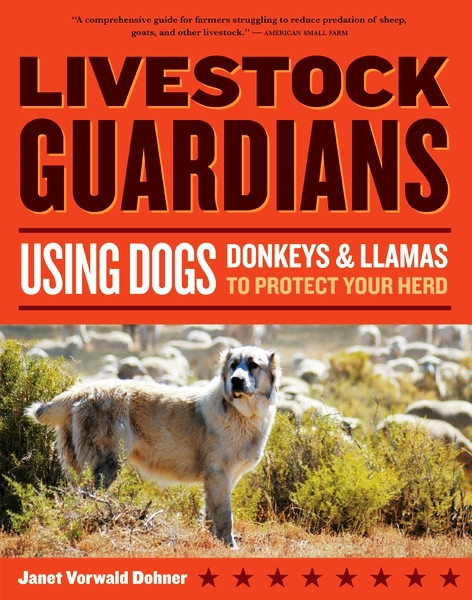 Livestock Guardians Using Dogs, Donkeys Llamas to Protect Your Herd
