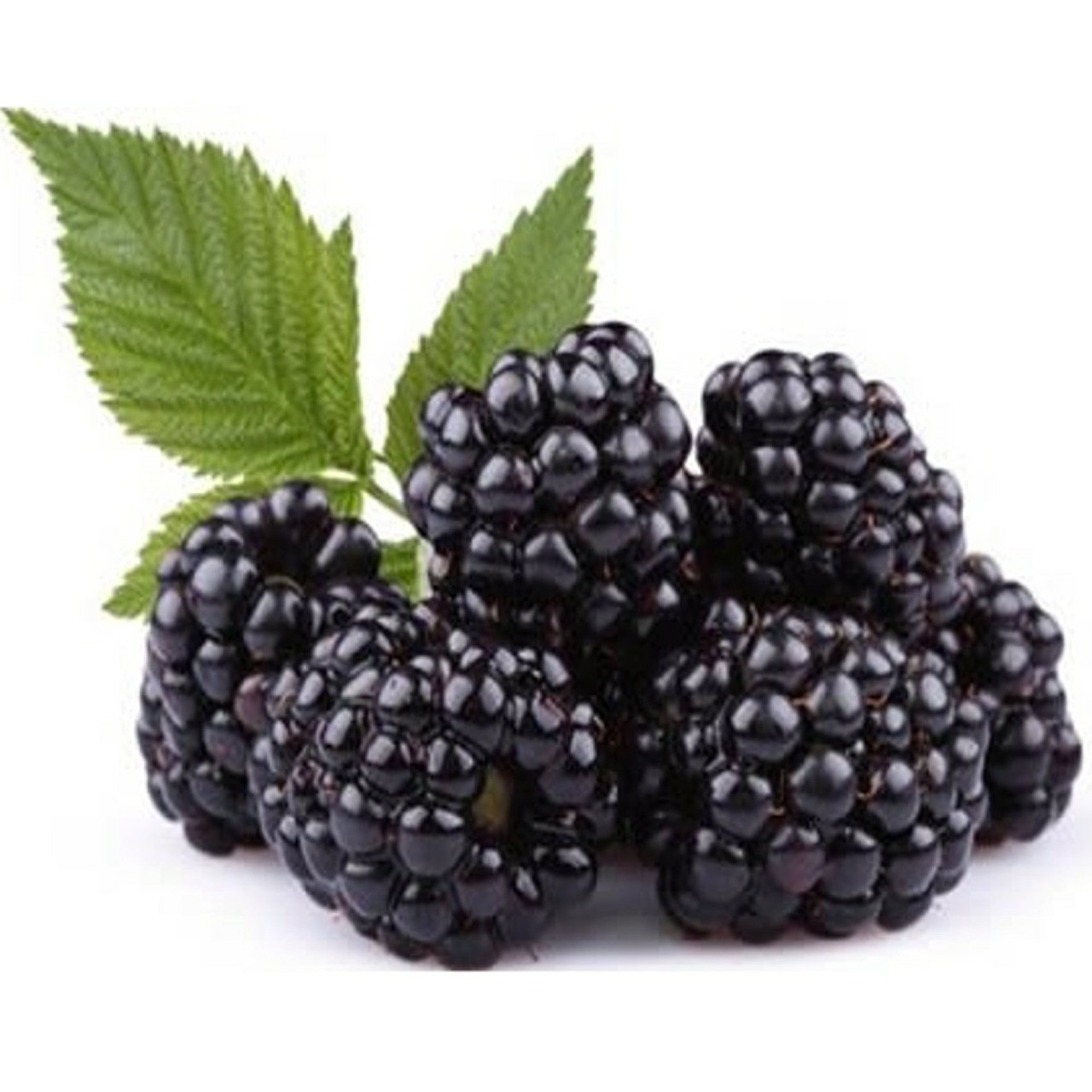 Blackberry round hand towel, farmhouse blackberries decor