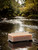 Unboxed Fisherman’s Pure Essence Handmade Soap by Oregon Rain Naturals, shown as a rustic brown bar with smooth texture and natural edges, placed on a rock by a stream.  A natural beauty!
