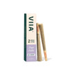 VIIA THCA Indoor Flower Premium Pre-Rolls - Grape Runtz