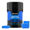 Binoid Delta 9 THC + CBD Live Resin Gummies - Blue Razz