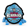 TRE House Extra Strength Mushroom Gummies - Blue Raspberry