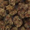 Cheddr Gouda Exotic THCA Flower - Peanut Butter Breath