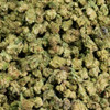 Cheddr Exotic THCA Flower Smalls - Dosi