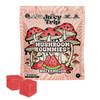 Juicy Trip Nootropic Blend Mushroom Gummies - Watermelon Front